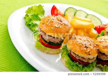 Burgers with french fries in plate Burgers with french fries in plate 5209399