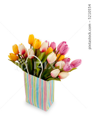 Tulips in the bag isolated on white Tulips in the bag isolated on white 5210554