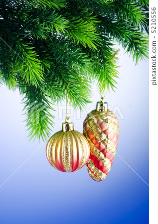 Baubles on christmas tree in celebration concept Baubles on christmas tree in celebration concept 5210556