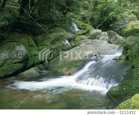 Shiratani Yunizu Gorge Shiratani Yunizu Gorge 5211452