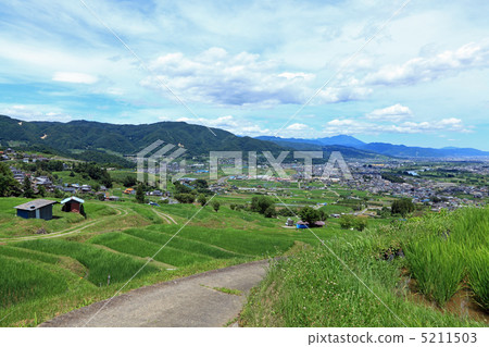 Abandonment of summer 5211503