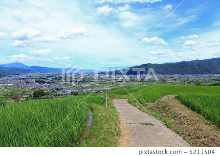 Abandonment of summer 5211504