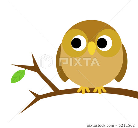An owl crawling on a tree branch An owl crawling on a tree branch 5211562