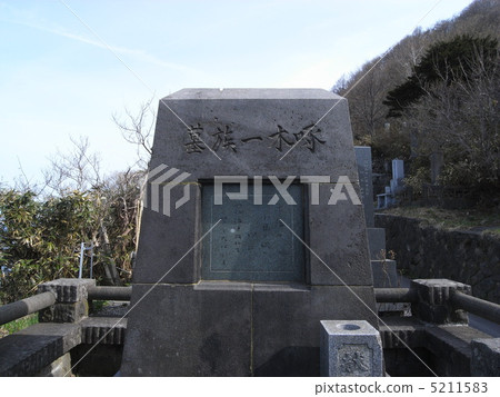 Ishikawa Saki樹的墓獨白 5211583