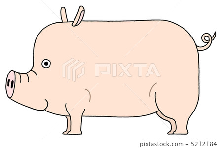 Pig  5212184
