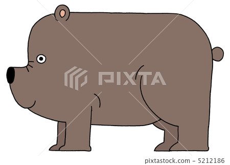 棕熊 棕熊 5212186