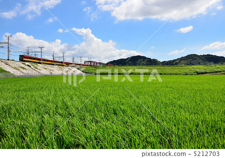 Railway Keihan Train 8000 Series Yawata City Summer Sky Blue Rice Rice field 5212703