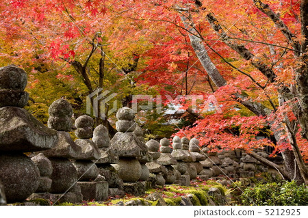 Nanno菩薩寺廟秋葉 Nanno菩薩寺廟秋葉 5212925