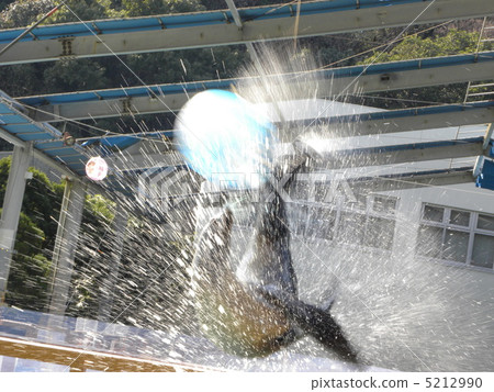 跳海獅 跳海獅 5212990