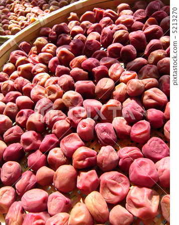 Sunflower process of making Umeboshi Sunflower process of making Umeboshi 5213270