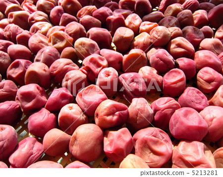 Sunflower process of making Umeboshi 5213281
