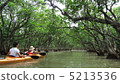 Mangrove canoe 5213536