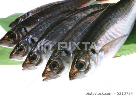 Horse mackerel Horse mackerel 5213784