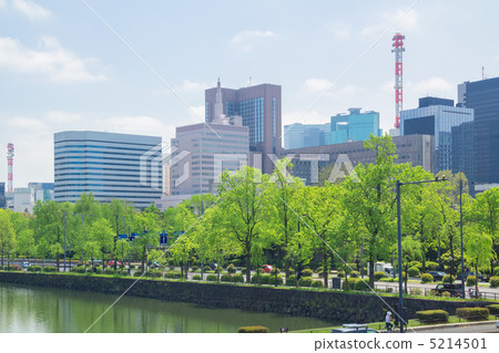 Hibiya大廈街道和新綠色街道樹 5214501