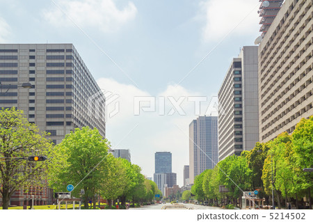 Kasumigaseki's civic center and fresh green trees 5214502
