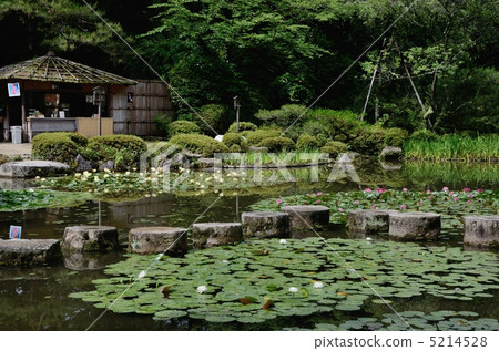 Heian Shrine in early summer, Wolso bridge 5214528