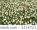 Red breaking point 5214723