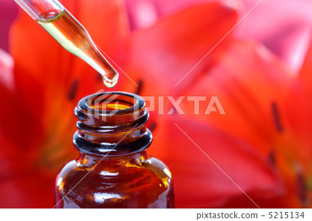 莉莉的精華 5215134