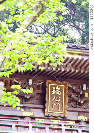 Enoshima Shrine 5215203