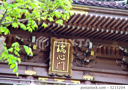 江島神社 5215204