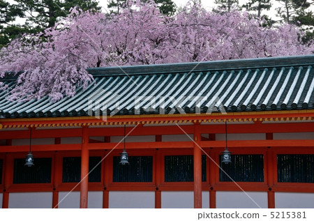 Heian Shrine, Spring corridor Heian Shrine, Spring corridor 5215381