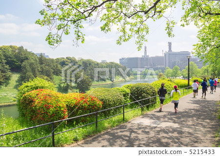 皇宮跑步課程和賽跑者 5215433