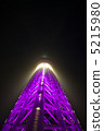 天空樹雅（垂直） 5215980