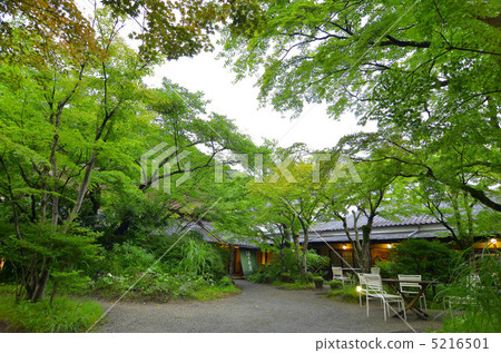 夏天湯布院 夏天湯布院 5216501