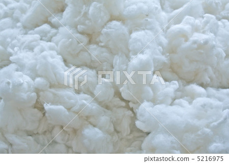 Cotton 5216975