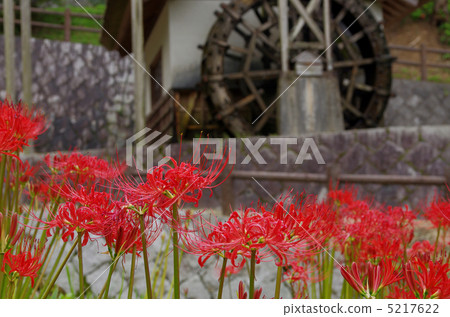 Higanki花和水磨房 Higanki花和水磨房 5217622