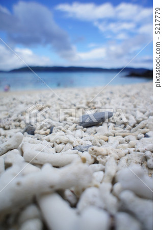 [Okinawa Prefecture] Coral beach 5217779