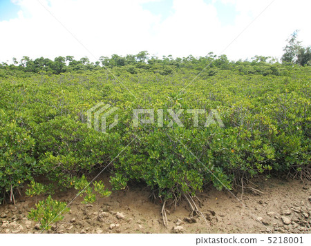 Miyakojima Miyakojima 5218001
