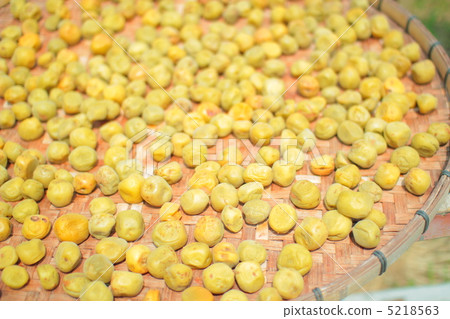 Umeboshi sun-dried squid Umeboshi sun-dried squid 5218563