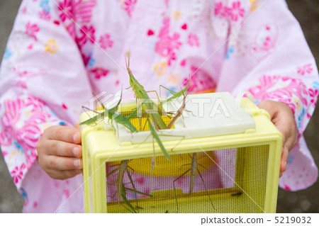 Grasshopper and insect basket 5219032