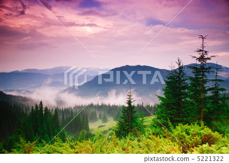 Landscape with fog 5221322