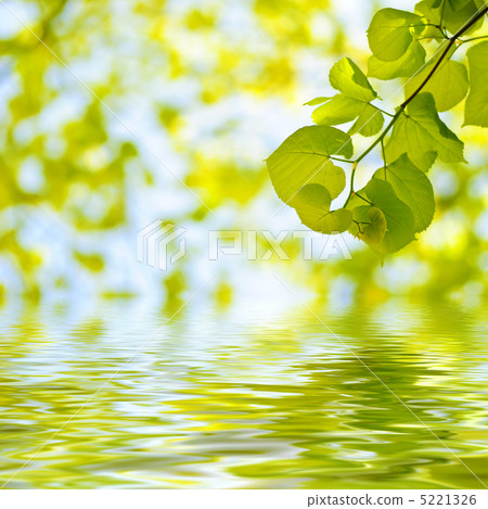 Spring background 5221326