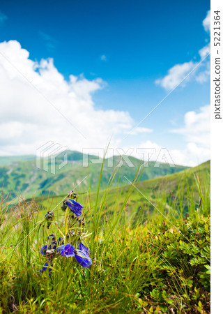 Carpathians bells 5221364