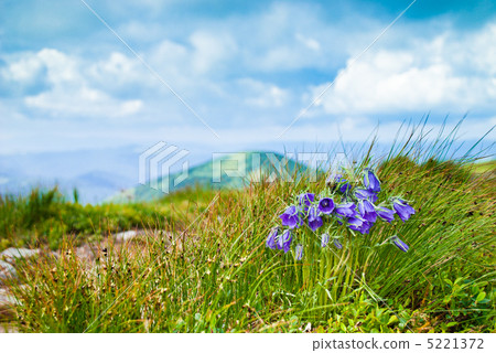 Carpathians bells 5221372