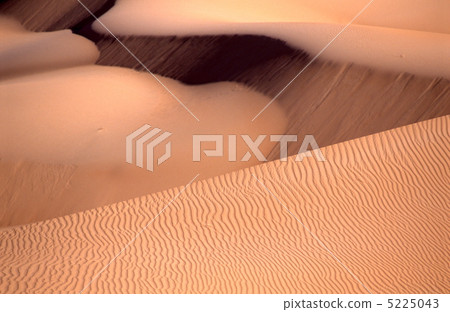 Dunes of the Sahara Desert Dunes of the Sahara Desert 5225043