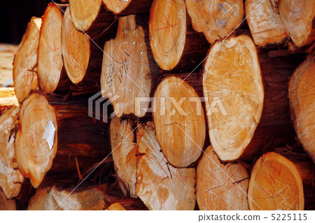 Building Materials Storage Hinoki Log 2 5225115
