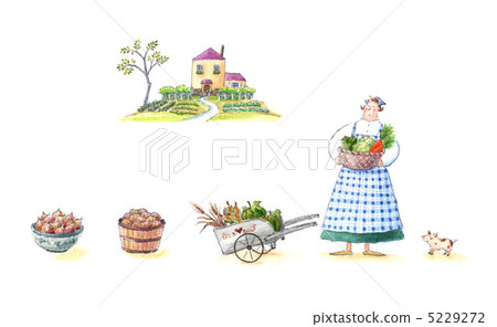 家和蔬菜 5229272