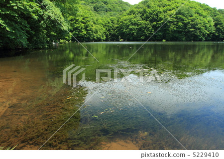 曲澤沼澤 5229410