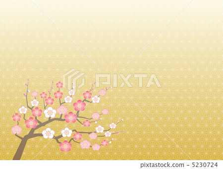 梅花樹 5230724