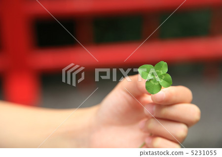 四片葉子 四片葉子 5231055