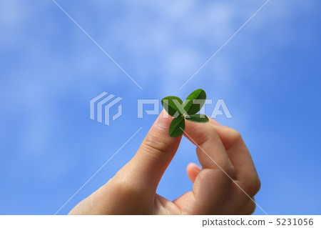 四片葉子 5231056