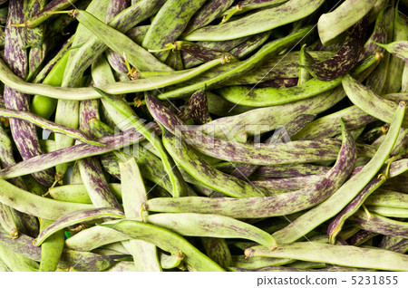 Lots of green pods at the background Lots of green pods at the background 5231855