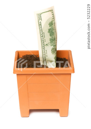 Dollars growing in the pot isolated on the white Dollars growing in the pot isolated on the white 5232229