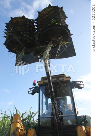 Minami-Daitojima millet mower Okinawa sugarcane 5233202