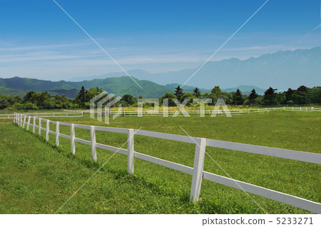 在高原的農場 5233271