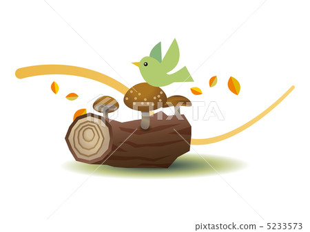 Shiitake mushroom native to log 5233573